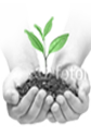 Enlace a Servicios